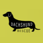 Dachshund Rescue UK