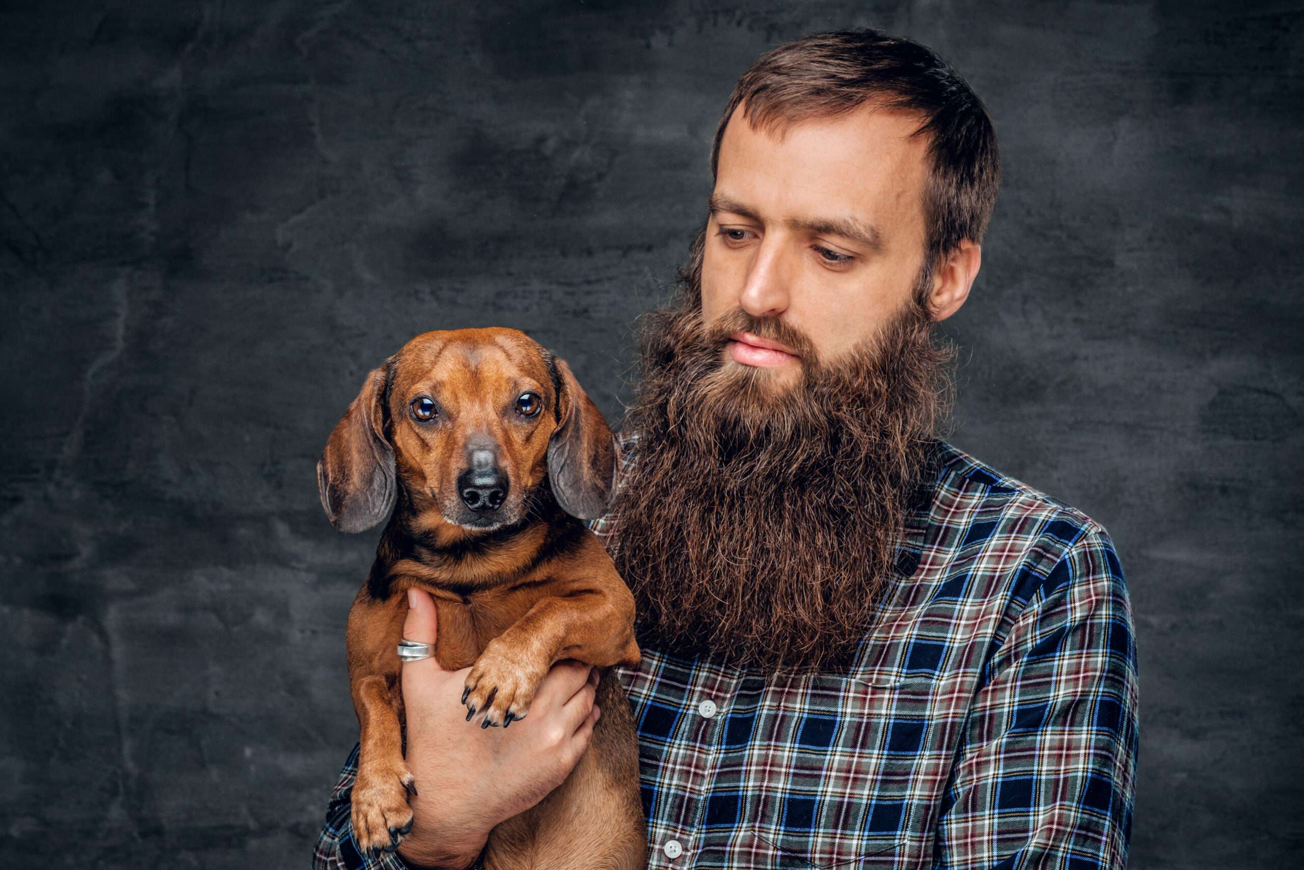 Donations - A bearded man holding a smooth haired dachshund