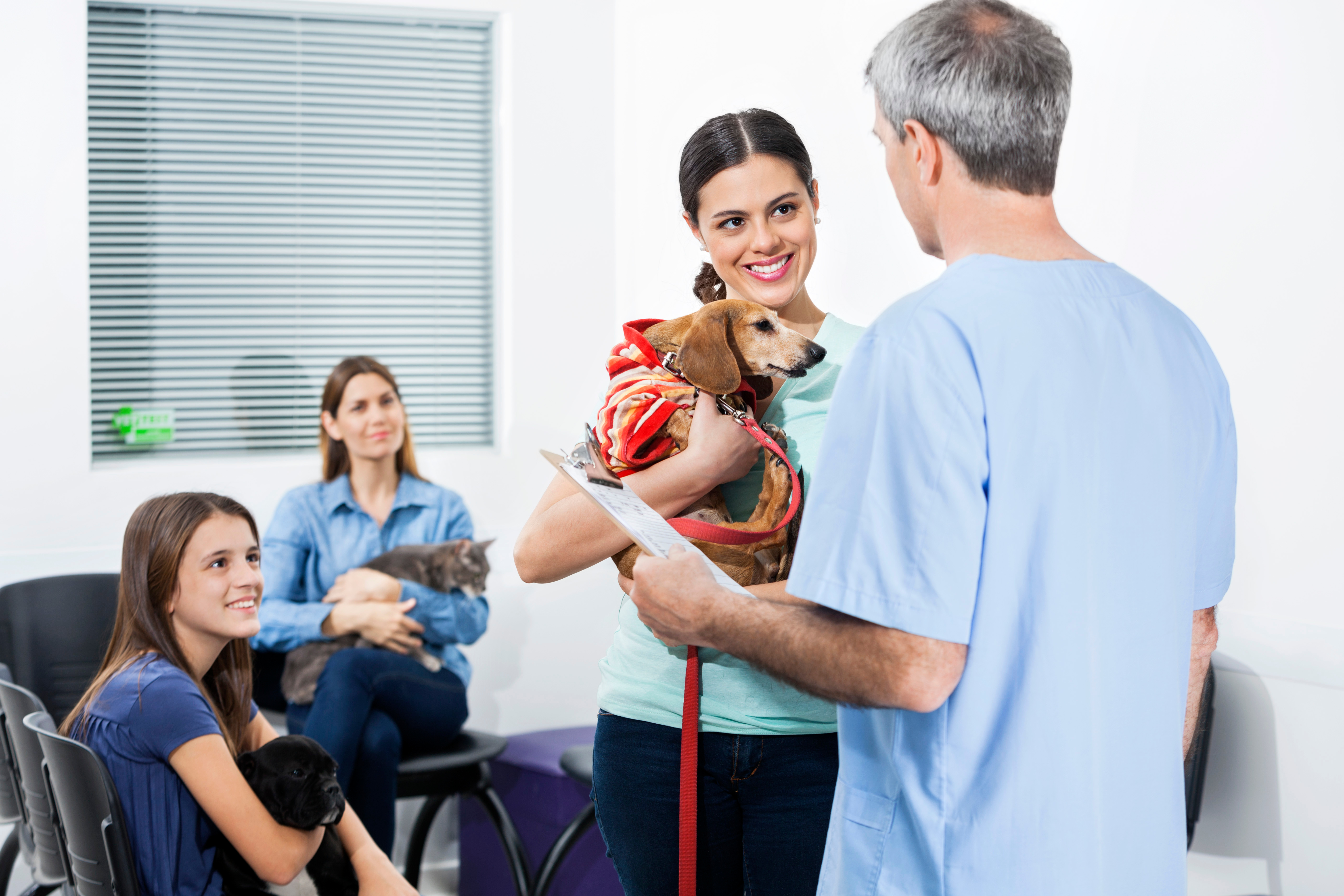 a woman carrying a dachshund while talking to a male vet