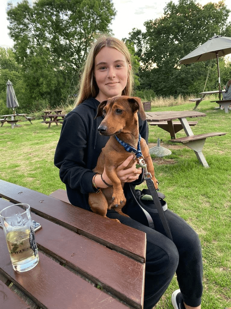 rehome my dog - berties story a dachshund jack russell cross sitting on a young girls knee